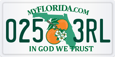 FL license plate 0253RL