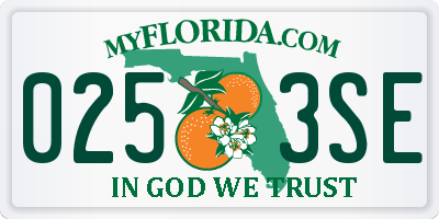 FL license plate 0253SE