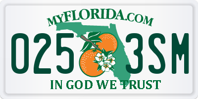 FL license plate 0253SM