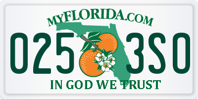 FL license plate 0253SO