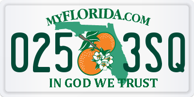 FL license plate 0253SQ