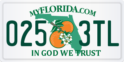 FL license plate 0253TL