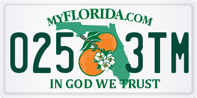 FL license plate 0253TM