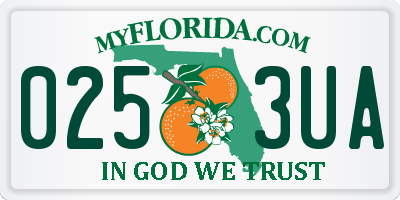 FL license plate 0253UA