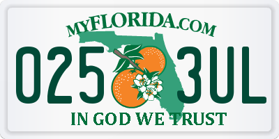 FL license plate 0253UL