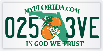 FL license plate 0253VE