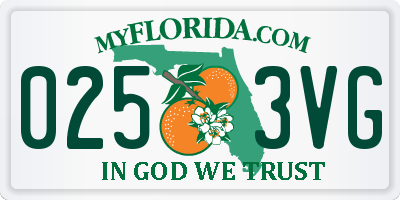 FL license plate 0253VG