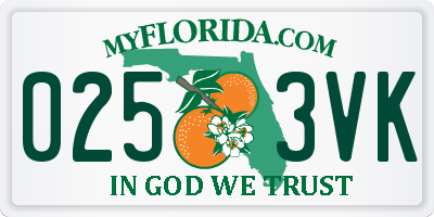FL license plate 0253VK