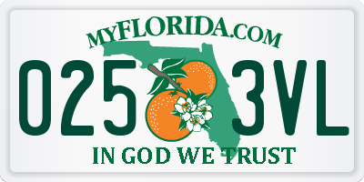 FL license plate 0253VL