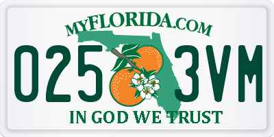 FL license plate 0253VM