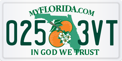 FL license plate 0253VT