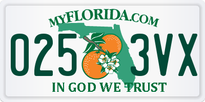 FL license plate 0253VX
