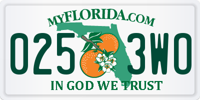 FL license plate 0253WO