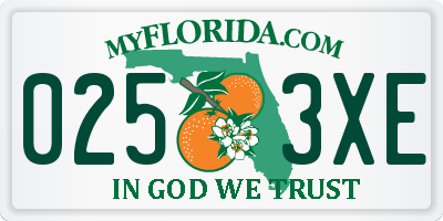 FL license plate 0253XE