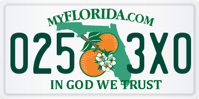 FL license plate 0253XO