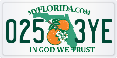 FL license plate 0253YE