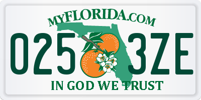 FL license plate 0253ZE