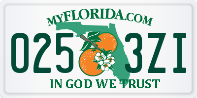 FL license plate 0253ZI