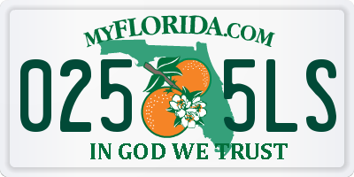FL license plate 0255LS