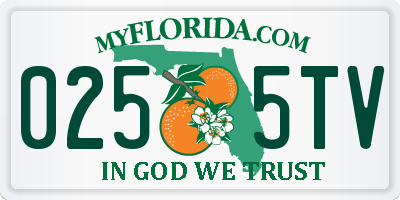 FL license plate 0255TV