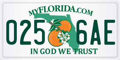 FL license plate 0256AE