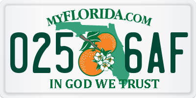 FL license plate 0256AF