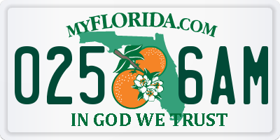 FL license plate 0256AM