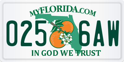 FL license plate 0256AW