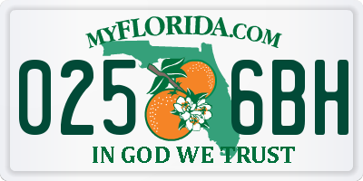 FL license plate 0256BH