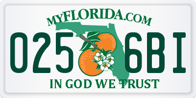 FL license plate 0256BI