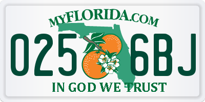 FL license plate 0256BJ