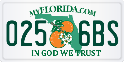 FL license plate 0256BS