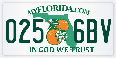 FL license plate 0256BV