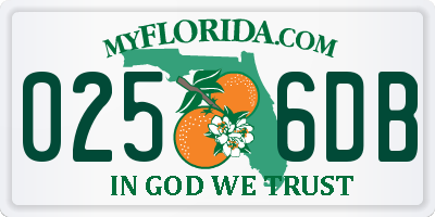 FL license plate 0256DB