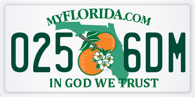 FL license plate 0256DM