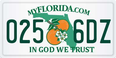 FL license plate 0256DZ