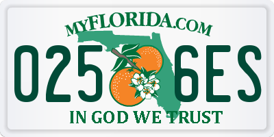 FL license plate 0256ES