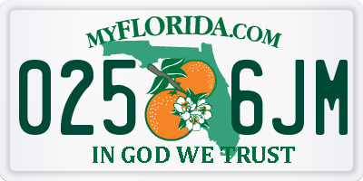 FL license plate 0256JM