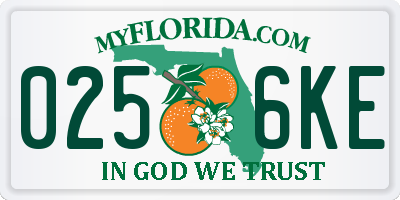 FL license plate 0256KE
