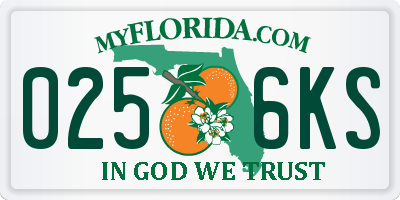 FL license plate 0256KS