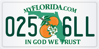 FL license plate 0256LL
