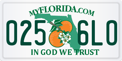 FL license plate 0256LO