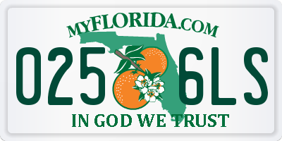 FL license plate 0256LS