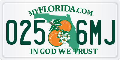 FL license plate 0256MJ