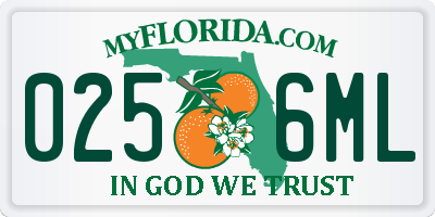 FL license plate 0256ML