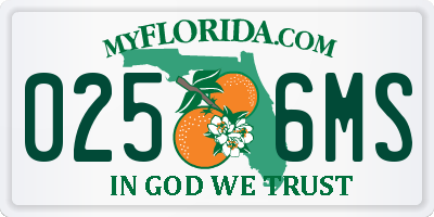 FL license plate 0256MS