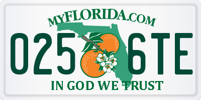 FL license plate 0256TE