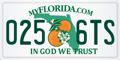 FL license plate 0256TS