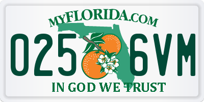 FL license plate 0256VM