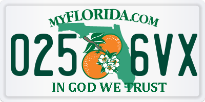 FL license plate 0256VX